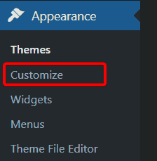 WordPress Customize Menu Option
