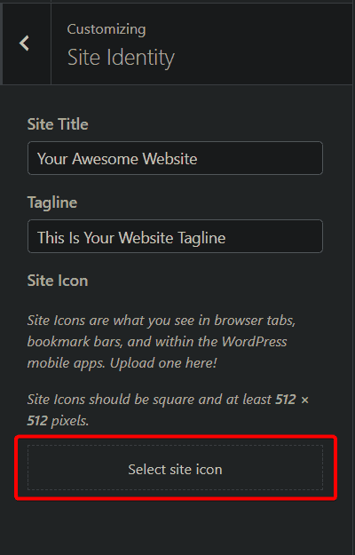 WordPress Site Identity Options