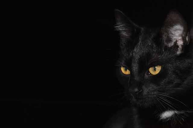 Black color aesthetic
