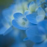 Blue color names, hex color codes and color values