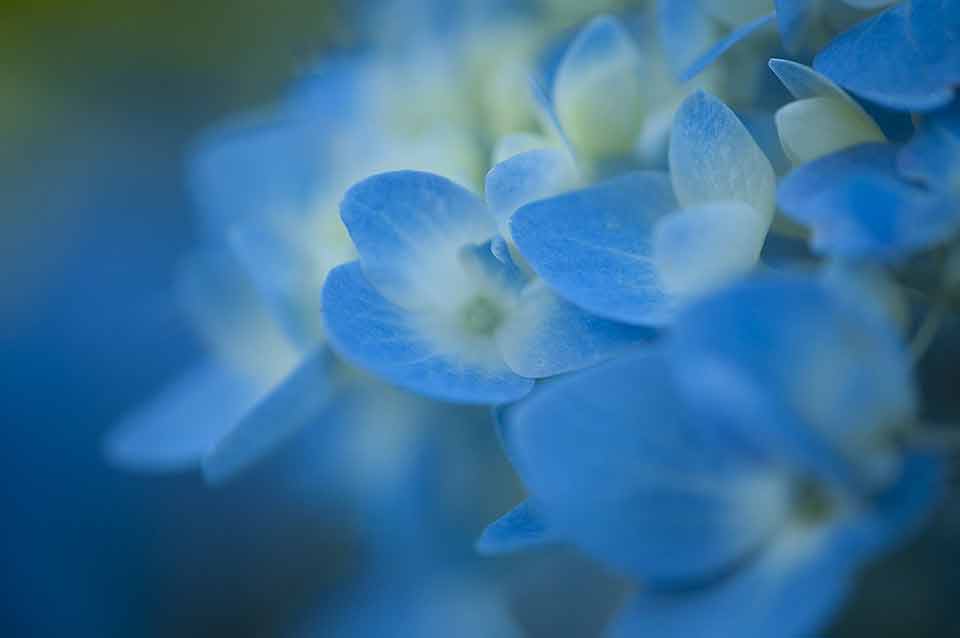 Article featuring shades of blue and blue color does