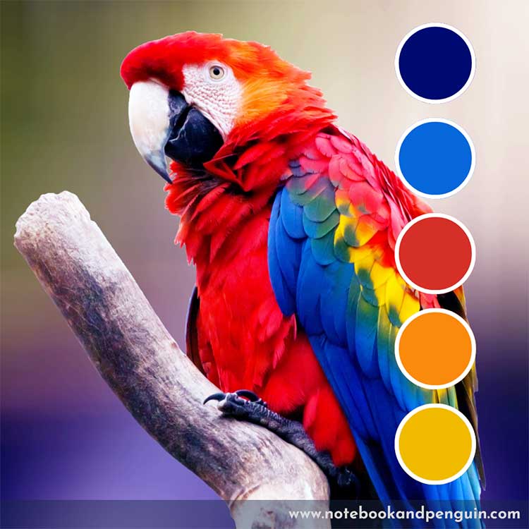 Blue, red, yellow, orange color palette
