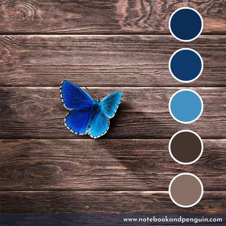 Bright bold blue and brown color palette