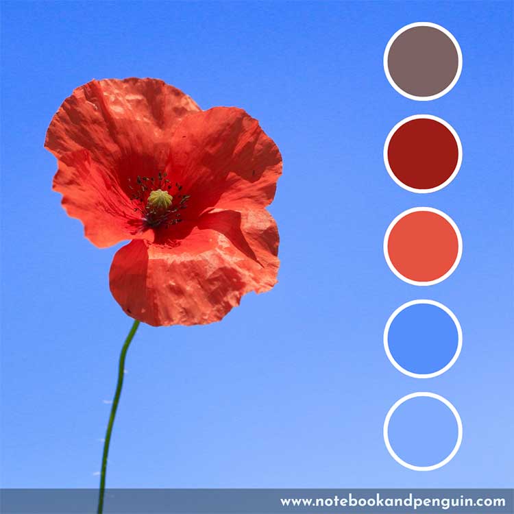 Sky blue and red color palette
