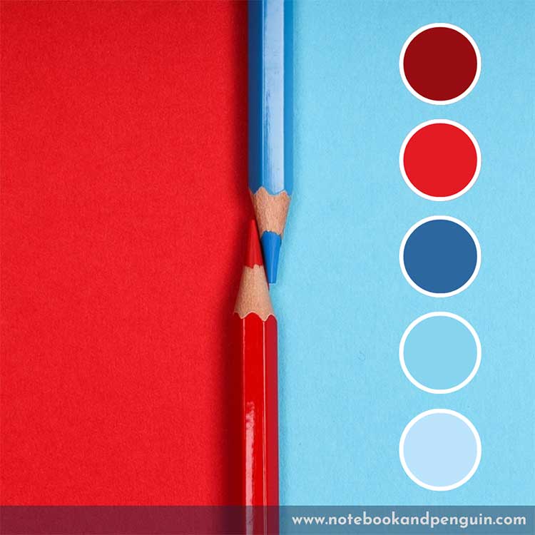 Bright and bold blue and red palette