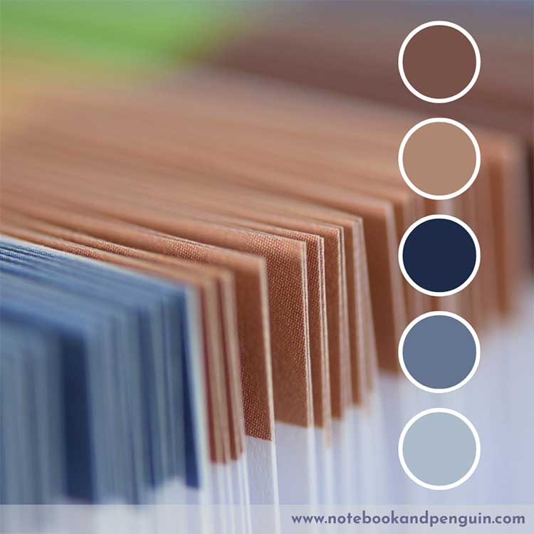 Corporate blue and brown color palette