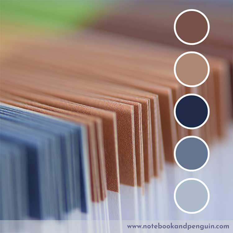 color codes, brown / blue Color Palette