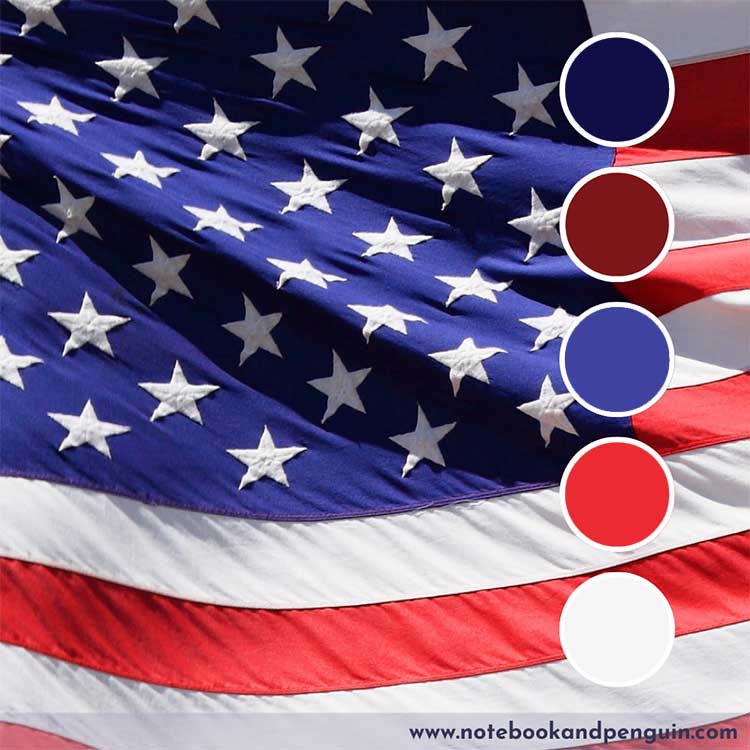 Flag with red, white and blue color palette