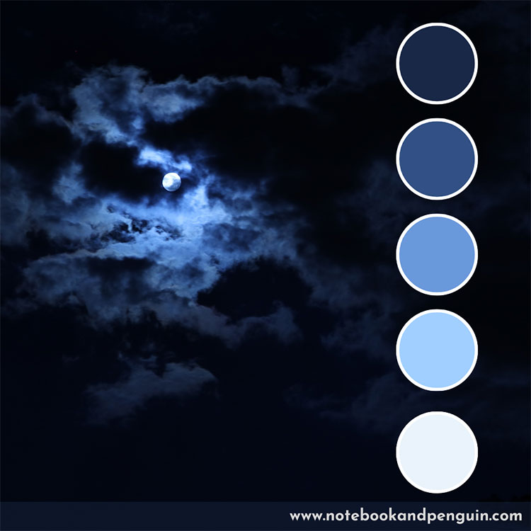 Navy blue color palette with lighter blues and grays
