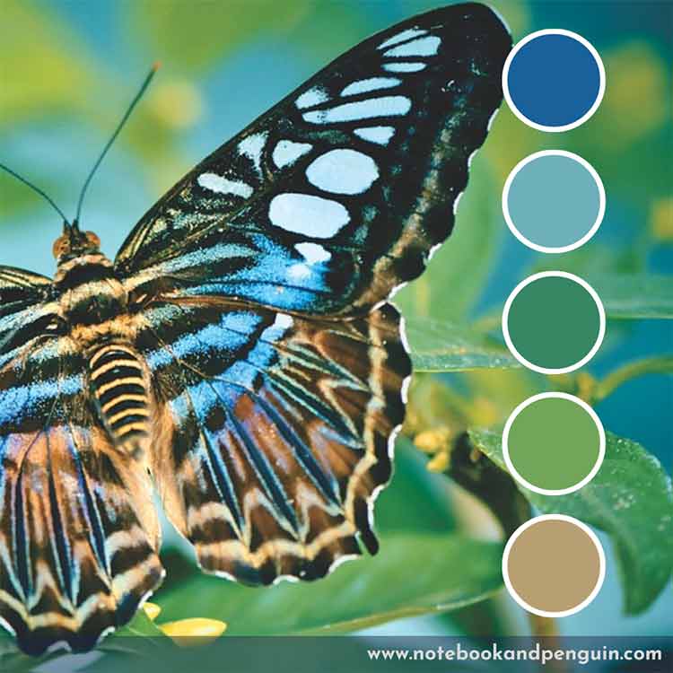 Muted blue and green color palette