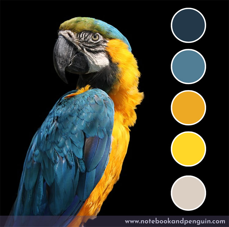 Navy blue yellow orange color palette