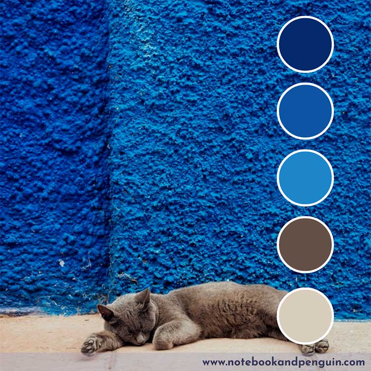 Navy blue and brown color palette