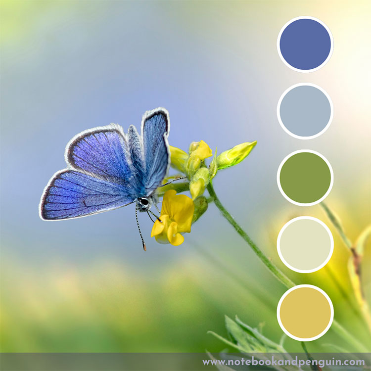 Pastel blue and green color palette