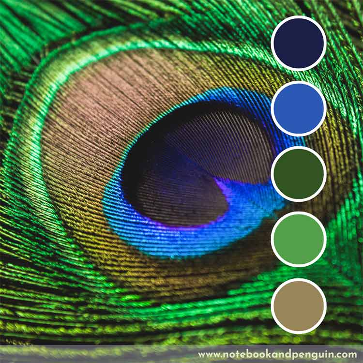 Bold blue and green color palette