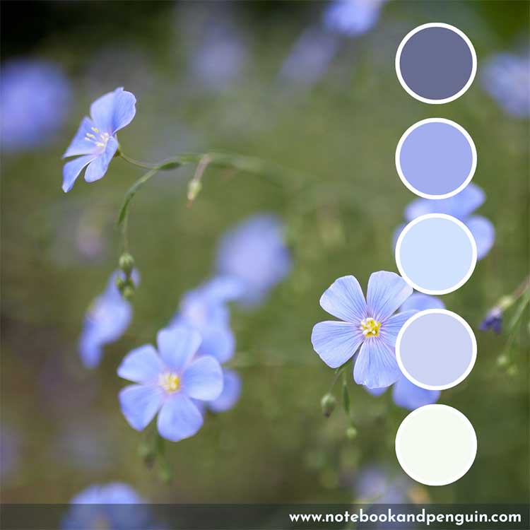 Flower-inspired pastel blue color palette