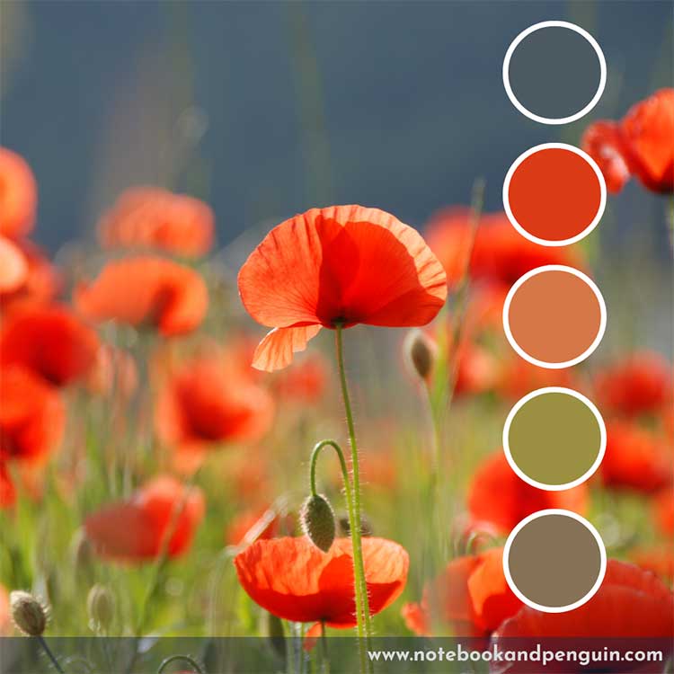 Natural blue, red, green color palette