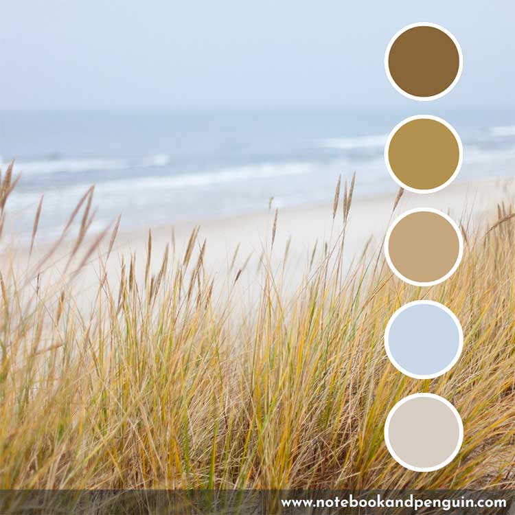 Sandy brown and blue color palette