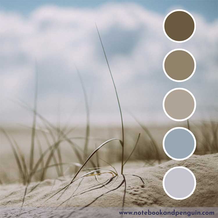 Muted blue and brown color combination