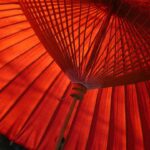 Shades of red