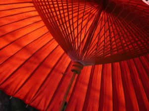 Article featuring shades of red and red color code chart