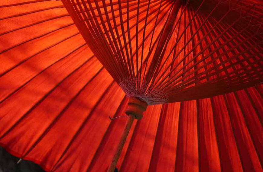 Shades of red