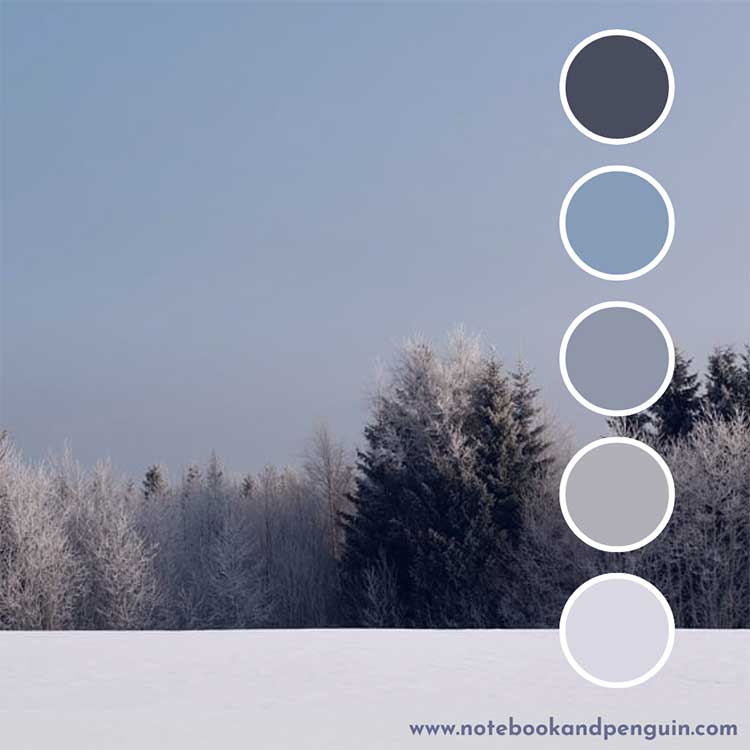 Snow-inspired blue gray color palette