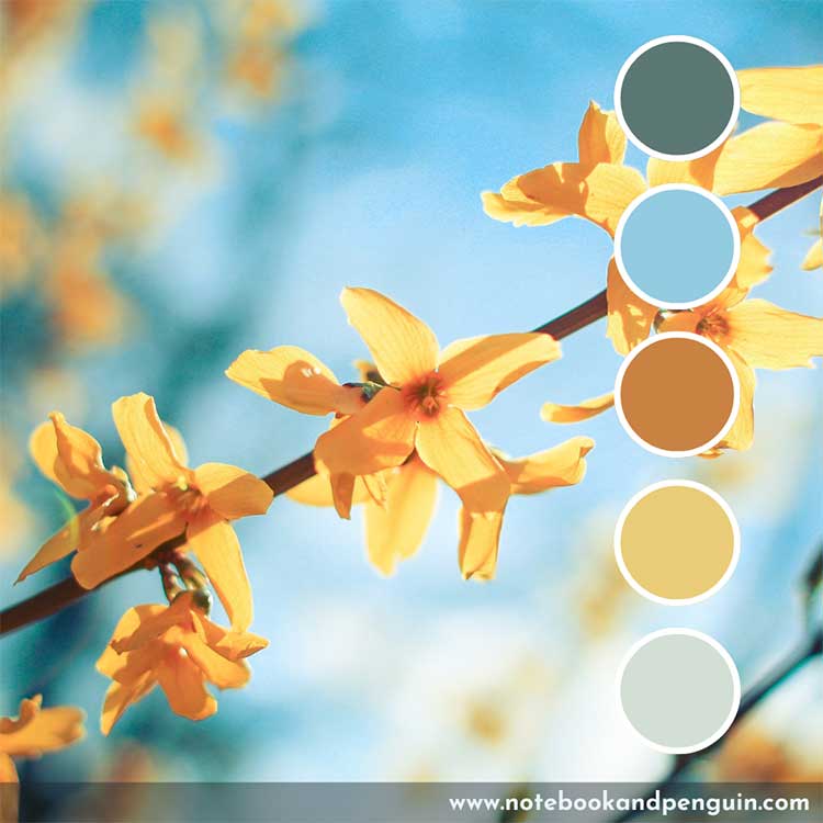 Soft yellow and blue floral color palette
