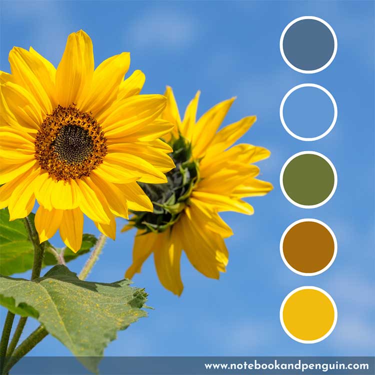 Sunflower blue and green color palette with yellow accents