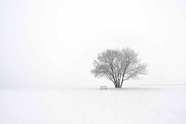 Article featuring shades of white and white color code table