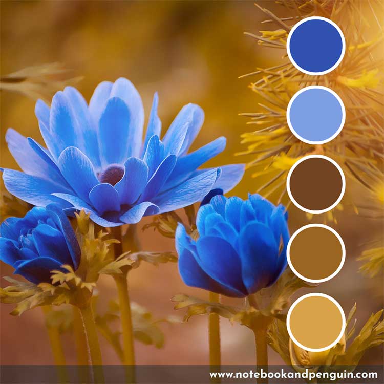 Yellow brown and blue color palette