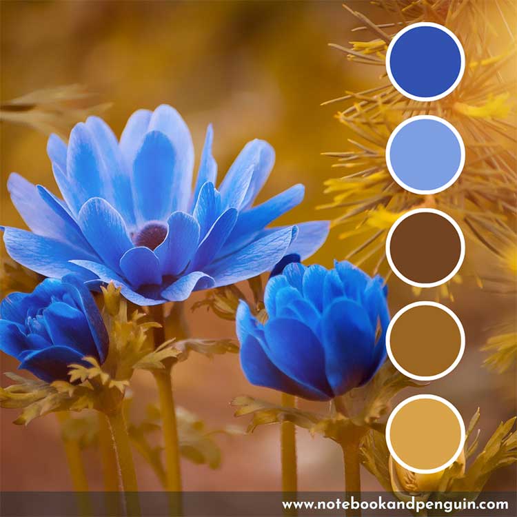 9 Lovely Blue And Brown Color Palettes (With Hex Codes)