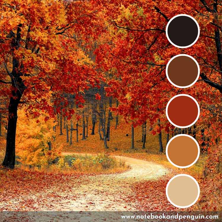 Autumn color palette with burnt orange and light orange