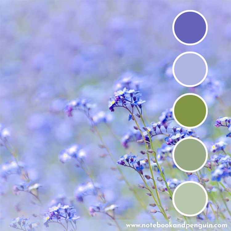 Sage green and pastel blue color palette
