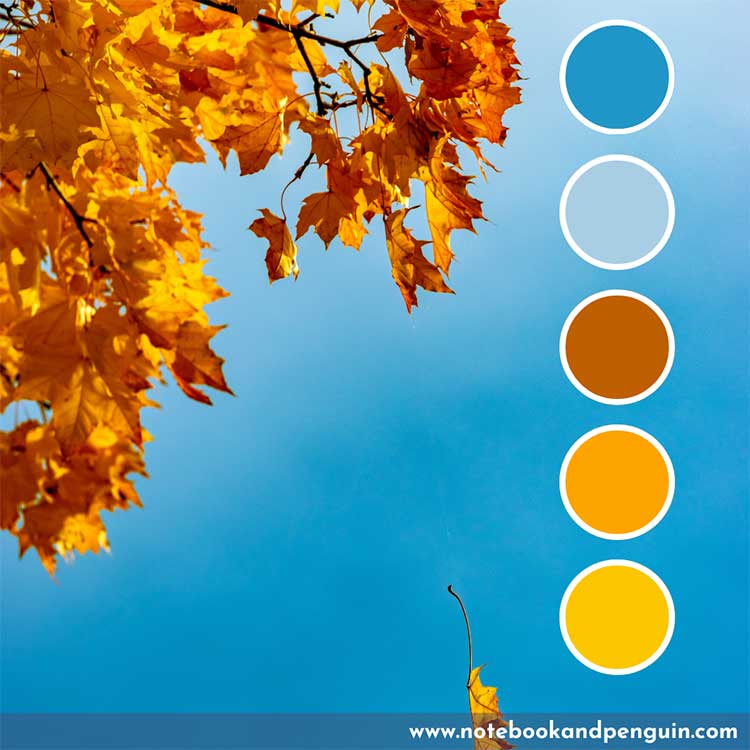 Autumn themed orange and blue color pallete