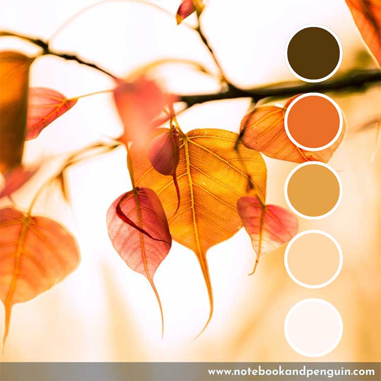 Brown, orange, yellow and white color palette