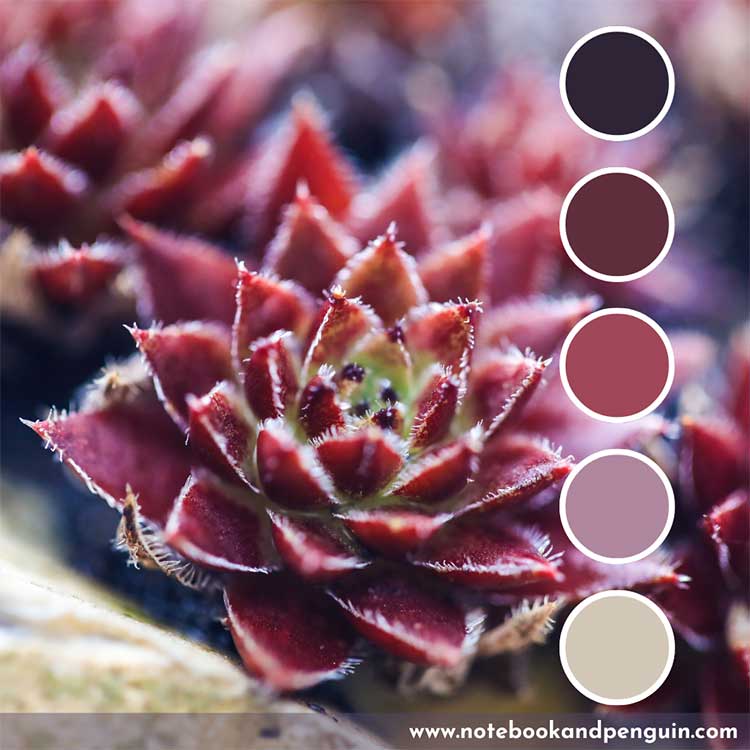 Burgundy, pink and beige color palette
