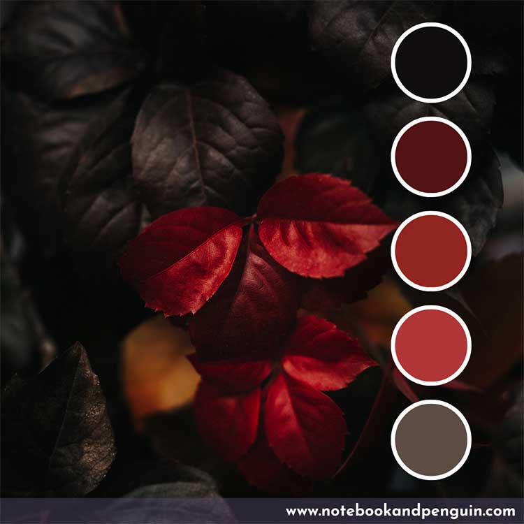 Dark burgundy, orange and brown color palette
