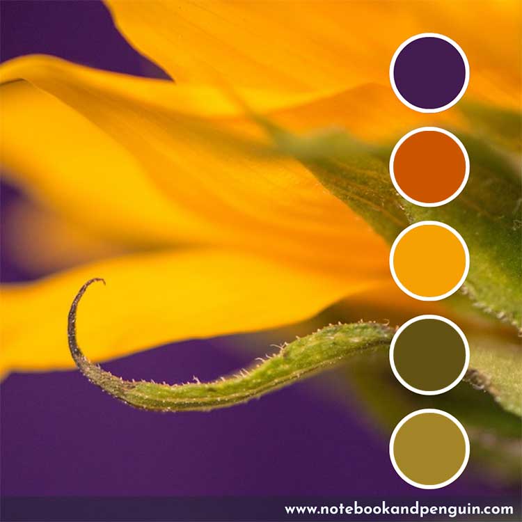 Purple, burnt orange, yellow and green palette