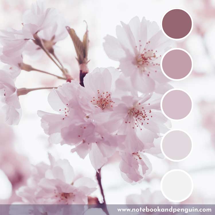 Cool lace pink color palette