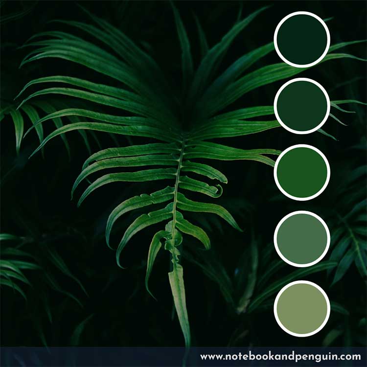 Dark green color palette with lighter green tints