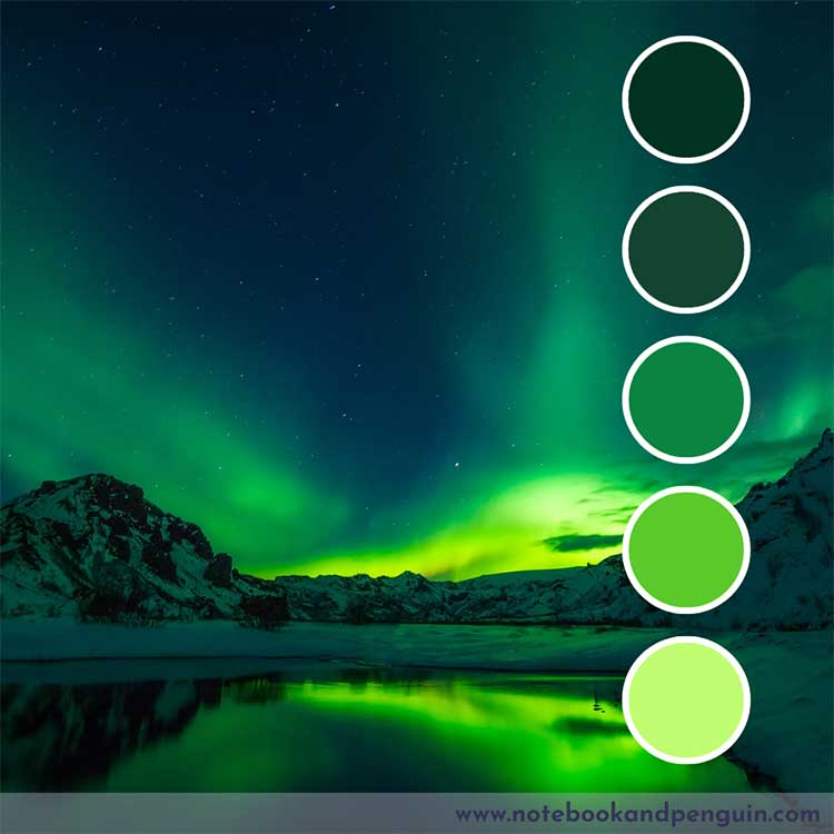 Dark green color palette with bright green accents