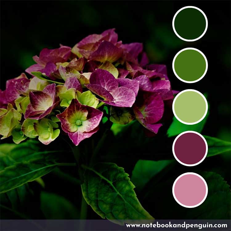 Dark green, forest green, maroon and pink color palette