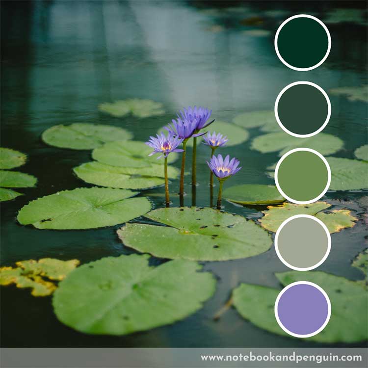 Dark green color palette with light purple accent colors