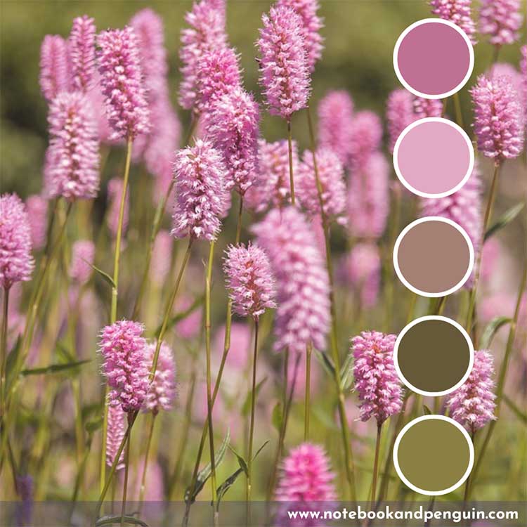 Dusty pink and sage green color palette