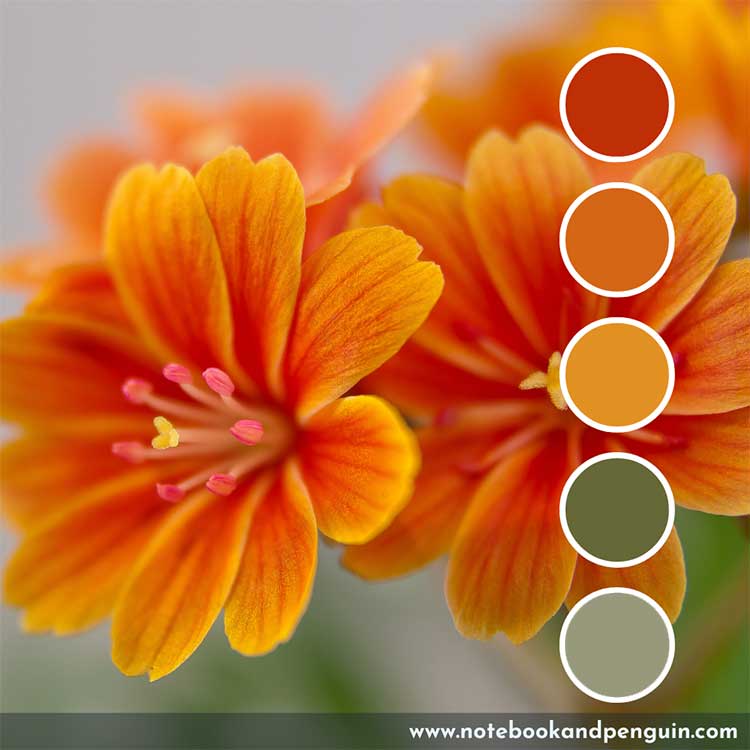 Floral green and orange color palette