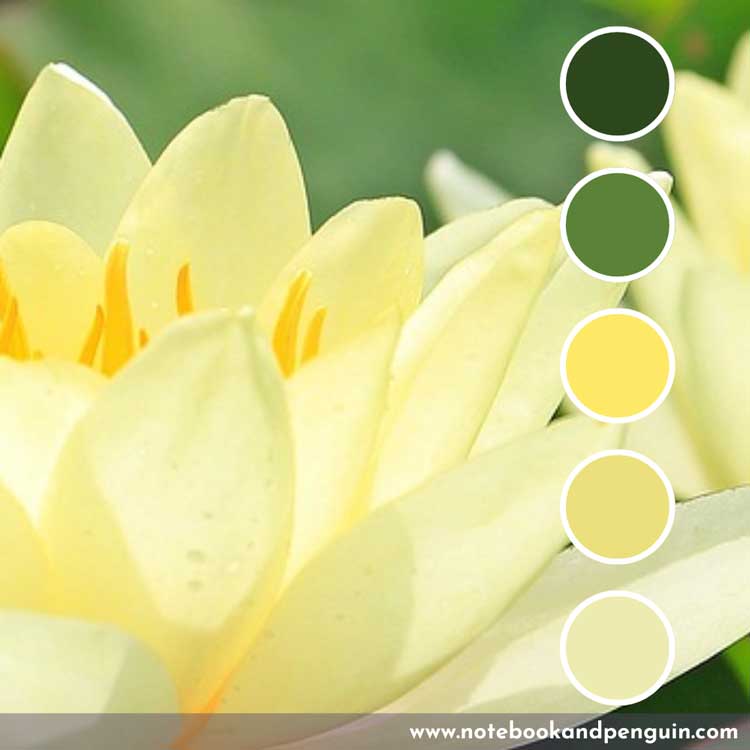 Forest green and pastel yellow color palette
