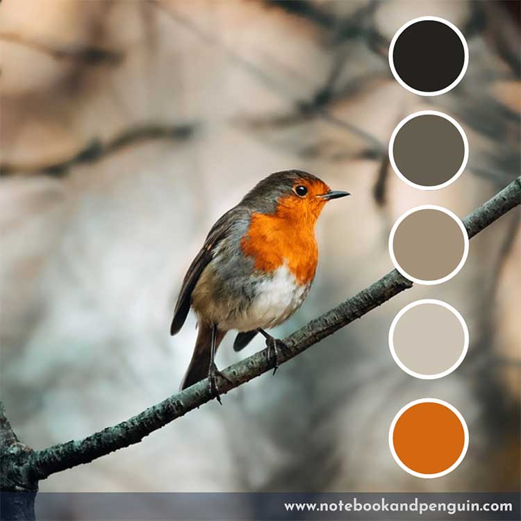 Gray and orange color palette