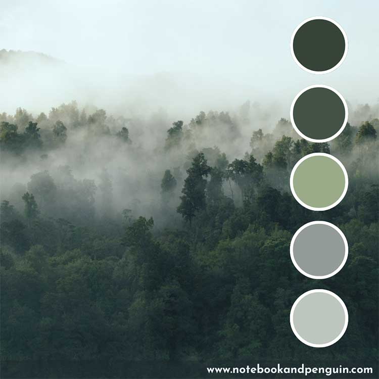 Sage green, dark forest green and gray color palette