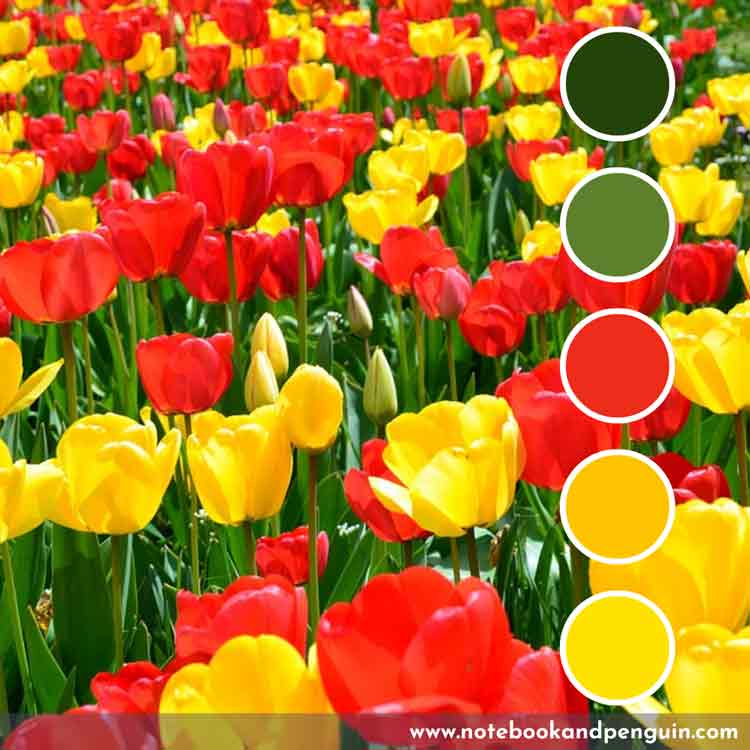 Green and yellow color palette with red accent color
