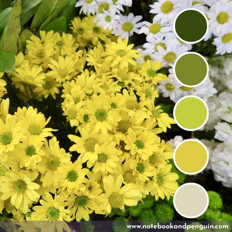 Green, yellow and white color palette